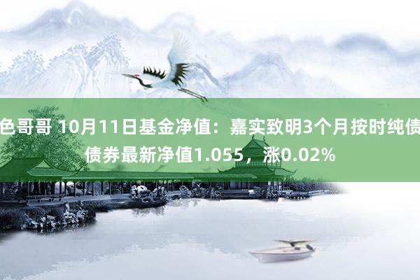 色哥哥 10月11日基金净值：嘉实致明3个月按时纯债债券最新净值1.055，涨0.02%