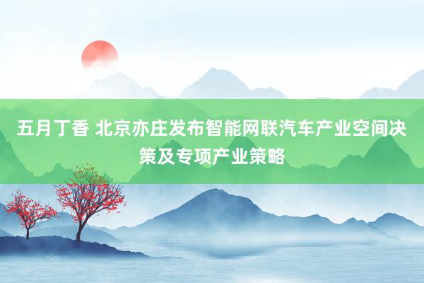 五月丁香 北京亦庄发布智能网联汽车产业空间决策及专项产业策略