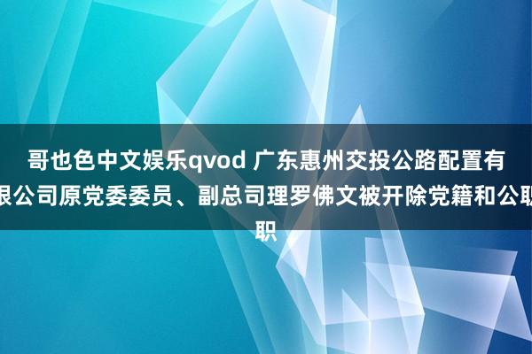 哥也色中文娱乐qvod 广东惠州交投公路配置有限公司原党委委员、副总司理罗佛文被开除党籍和公职