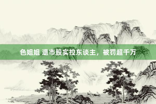 色姐姐 退市股实控东谈主，被罚超千万