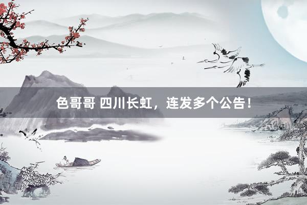 色哥哥 四川长虹，连发多个公告！