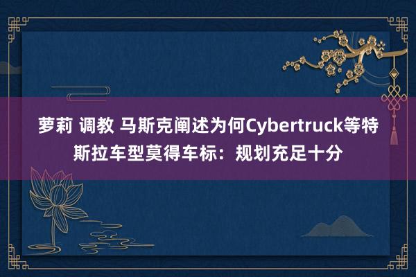 萝莉 调教 马斯克阐述为何Cybertruck等特斯拉车型莫得车标：规划充足十分