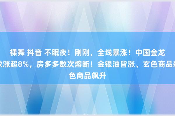 裸舞 抖音 不眠夜！刚刚，全线暴涨！中国金龙指数涨超8%，房多多数次熔断！金银油皆涨、玄色商品飙升