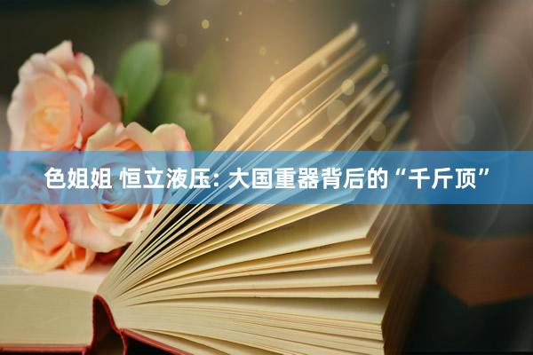 色姐姐 恒立液压: 大国重器背后的“千斤顶”
