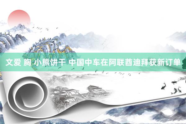 文爱 胸 小熊饼干 中国中车在阿联酋迪拜获新订单