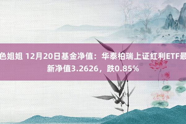 色姐姐 12月20日基金净值：华泰柏瑞上证红利ETF最新净值3.2626，跌0.85%