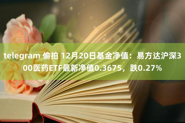 telegram 偷拍 12月20日基金净值：易方达沪深300医药ETF最新净值0.3675，跌0.27%