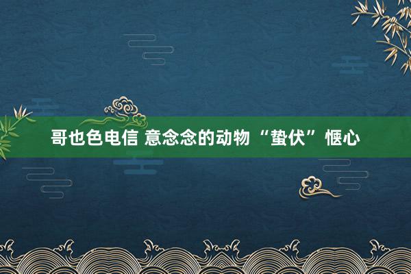 哥也色电信 意念念的动物 “蛰伏” 惬心