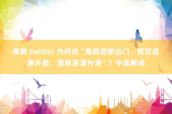 裸舞 twitter 为何说“柴胡逐郁出门，紫苏逐寒外散，茵陈逐湿外泄”？中医解惑