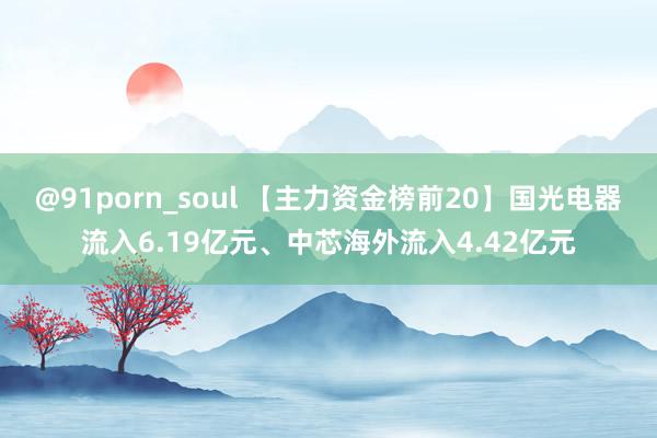 @91porn_soul 【主力资金榜前20】国光电器流入6.19亿元、中芯海外流入4.42亿元