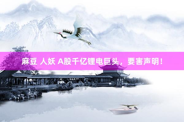 麻豆 人妖 A股千亿锂电巨头，要害声明！