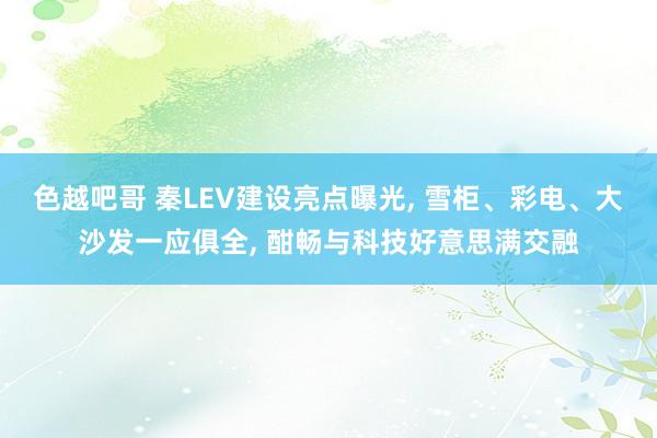 色越吧哥 秦LEV建设亮点曝光， 雪柜、彩电、大沙发一应俱全， 酣畅与科技好意思满交融