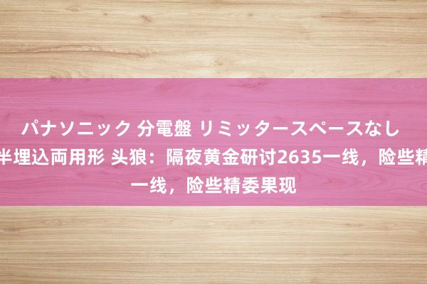 パナソニック 分電盤 リミッタースペースなし 露出・半埋込両用形 头狼：隔夜黄金研讨2635一线，险些精委果现
