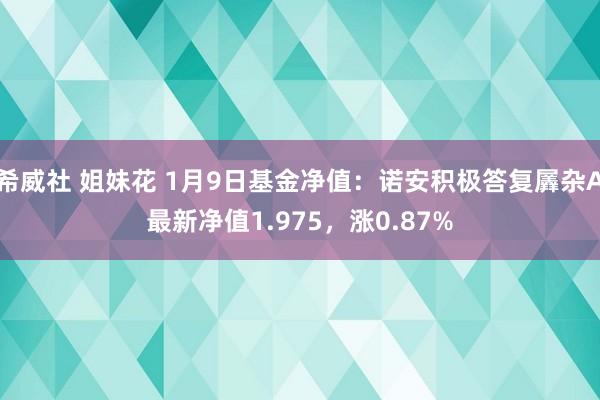 希威社 姐妹花 1月9日基金净值：诺安积极答复羼杂A最新净值1.975，涨0.87%