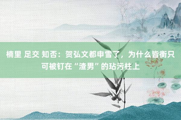 楠里 足交 知否：贺弘文都申雪了，为什么皆衡只可被钉在“渣男”的玷污柱上
