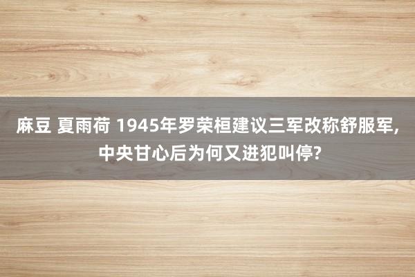麻豆 夏雨荷 1945年罗荣桓建议三军改称舒服军， 中央甘心后为何又进犯叫停?