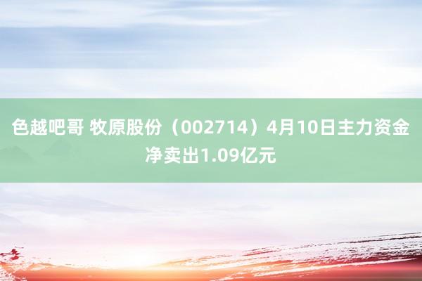 色越吧哥 牧原股份（002714）4月10日主力资金净卖出1.09亿元