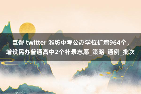 巨臀 twitter 潍坊中考公办学位扩增964个，增设民办普通高中2个补录志愿_策略_通例_批次
